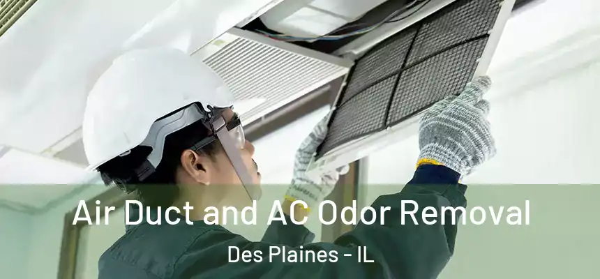  Air Duct and AC Odor Removal Des Plaines - IL
