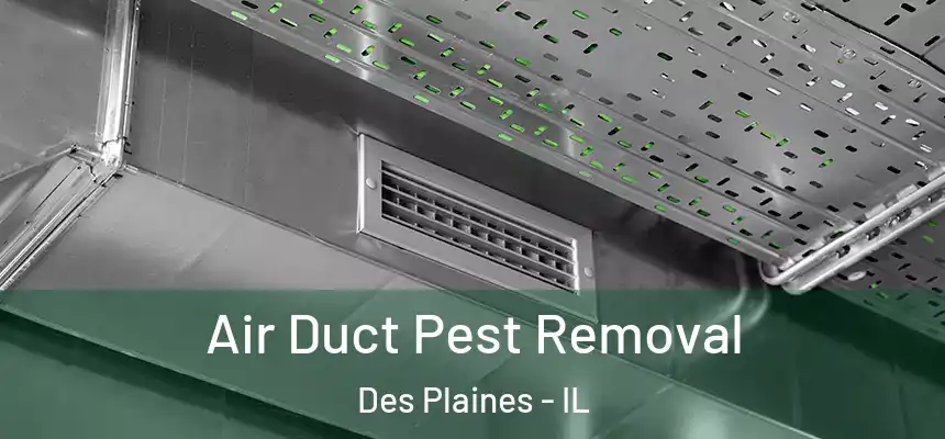  Air Duct Pest Removal Des Plaines - IL