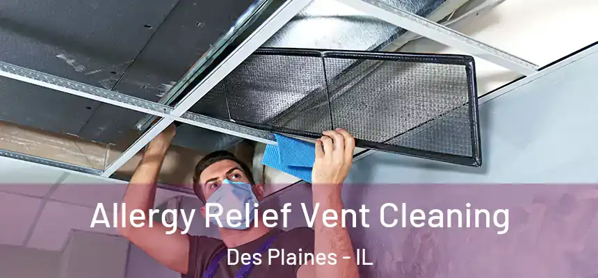  Allergy Relief Vent Cleaning Des Plaines - IL