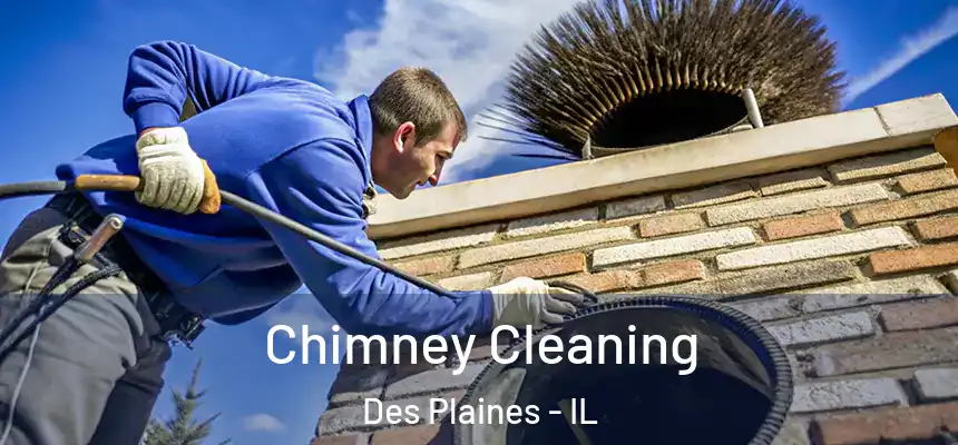 Chimney Cleaning Des Plaines - IL