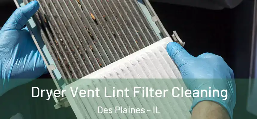 Dryer Vent Lint Filter Cleaning Des Plaines - IL