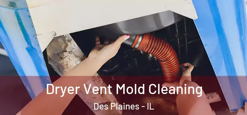Dryer Vent Mold Cleaning Des Plaines - IL