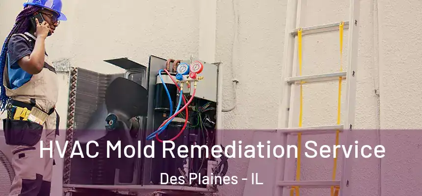  HVAC Mold Remediation Service Des Plaines - IL