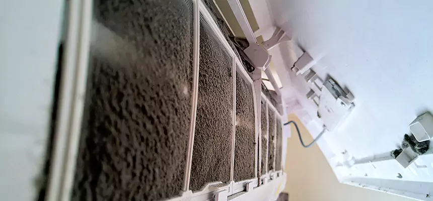 Preventive Air Duct Bacteria Removal in Des Plaines