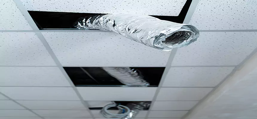 Our Air Duct Pet Hair Removal Services in Des Plaines, IL