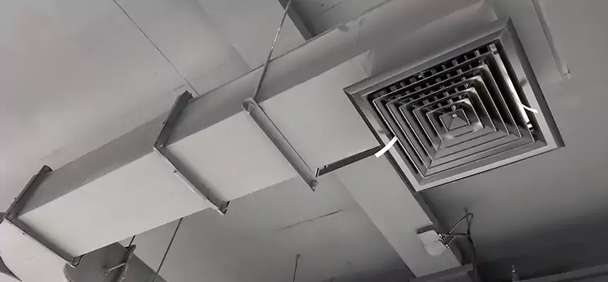 Restorative Allergy Relief Vent Cleaning – Coil, Blower & Housing Detail in Des Plaines