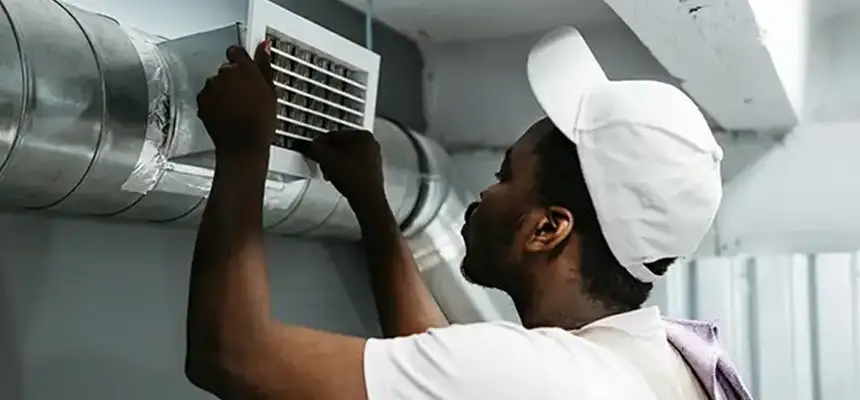 Our Licensed And Insured Cleaners in Des Plaines, IL