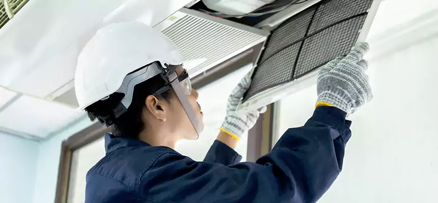 Our Mold & Mildew Removal from Air Ducts Services in Des Plaines, IL