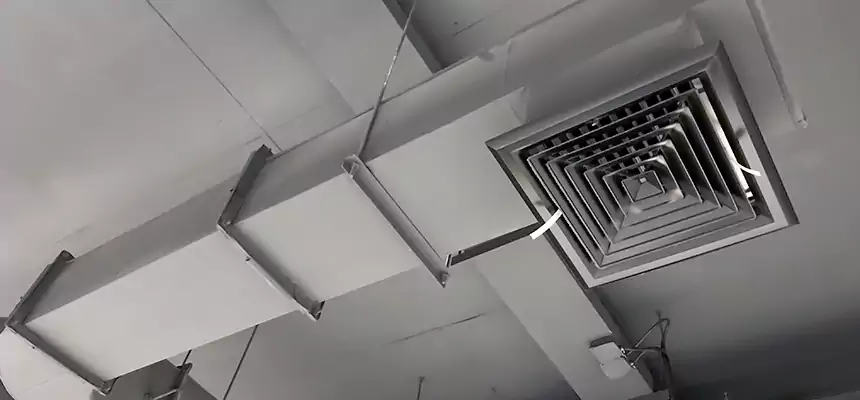 Our Pest Removal From Ducts Services in Des Plaines, IL