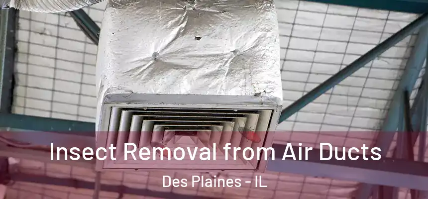 Insect Removal from Air Ducts Des Plaines - IL