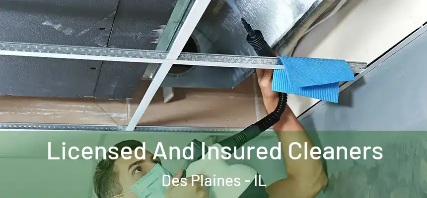 Licensed And Insured Cleaners Des Plaines - IL