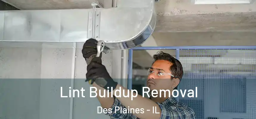  Lint Buildup Removal Des Plaines - IL