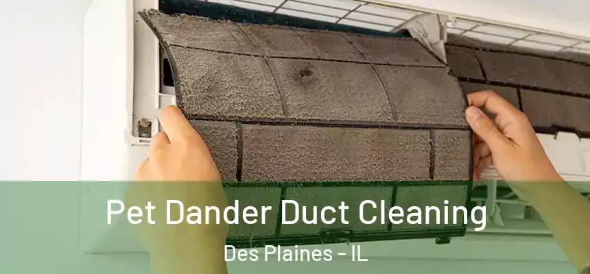  Pet Dander Duct Cleaning Des Plaines - IL