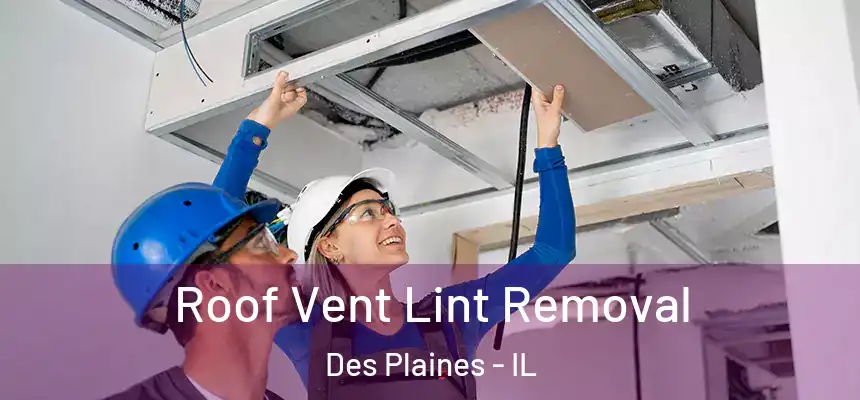  Roof Vent Lint Removal Des Plaines - IL