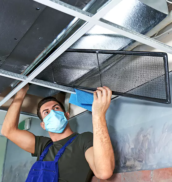 About Air Duct Bacteria Removal in Des Plaines