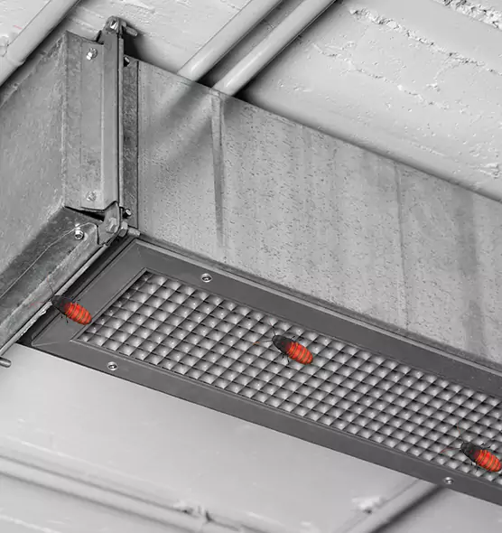 About Air Duct Cockroach Removal in Des Plaines, IL