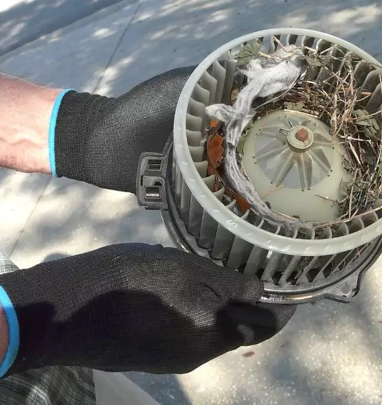 About Air Duct Mice Removal in Des Plaines, IL