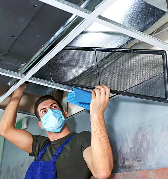 Professional Air Duct Pollen Cleaning in Des Plaines, IL