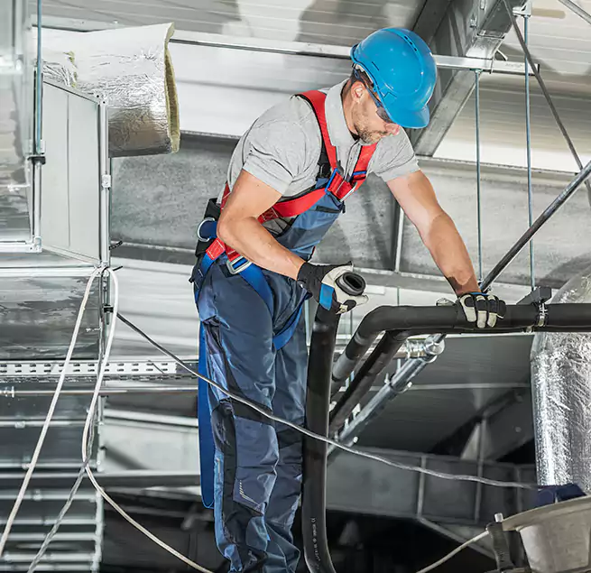 Why Homeowners & Businesses Trust Us in Des Plaines, IL?