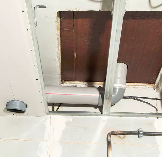 Why Homeowners & Businesses Trust Us in Des Plaines, IL?