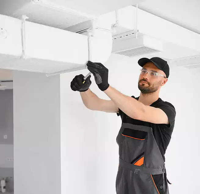 Why Homeowners & Businesses Trust Us in Des Plaines, IL?