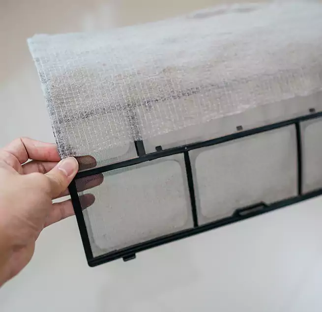 Why Homeowners & Businesses Trust Us in Des Plaines, IL?