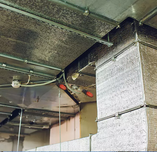 Why Homeowners & Businesses Trust Us Des Plaines, IL?