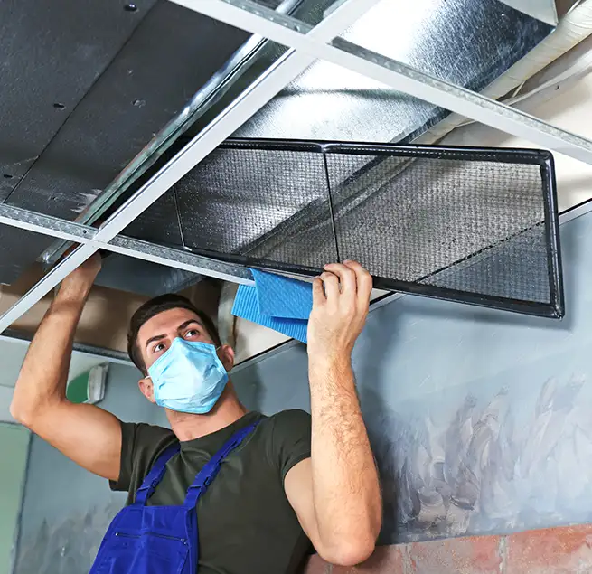 Why Homeowners & Businesses Trust Us in Des Plaines, IL?