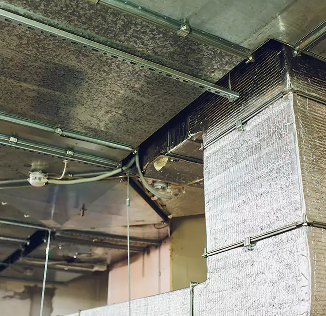 Why Homeowners & Businesses Trust Us in Des Plaines, IL?