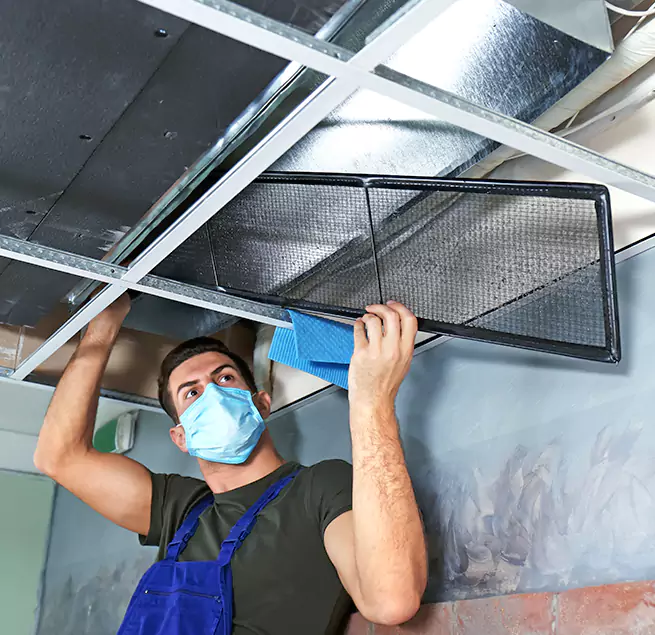 Why Homeowners Businesses Trust Us in Des Plaines, IL?